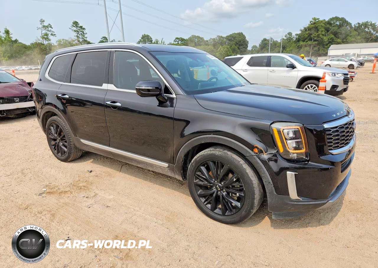 2020 Kia Telluride Sx VIN:5XYP54HC6LG050728 - 4