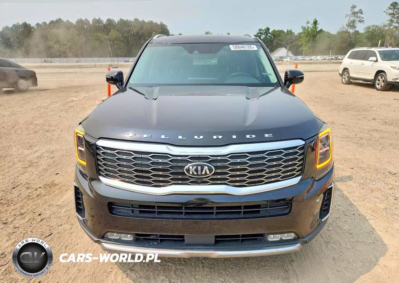 2020 Kia Telluride Sx VIN:5XYP54HC6LG050728 - 5