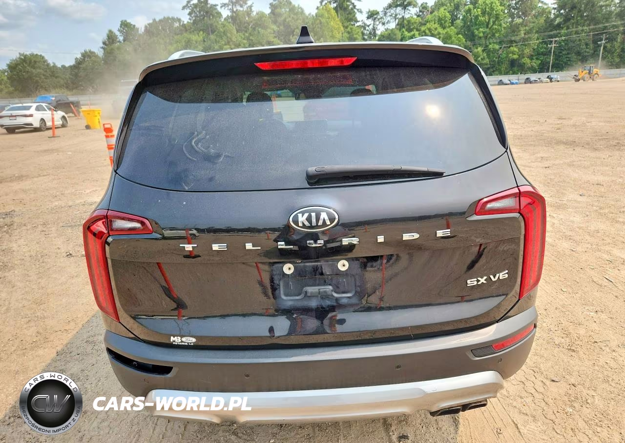 2020 Kia Telluride Sx VIN:5XYP54HC6LG050728 - 6