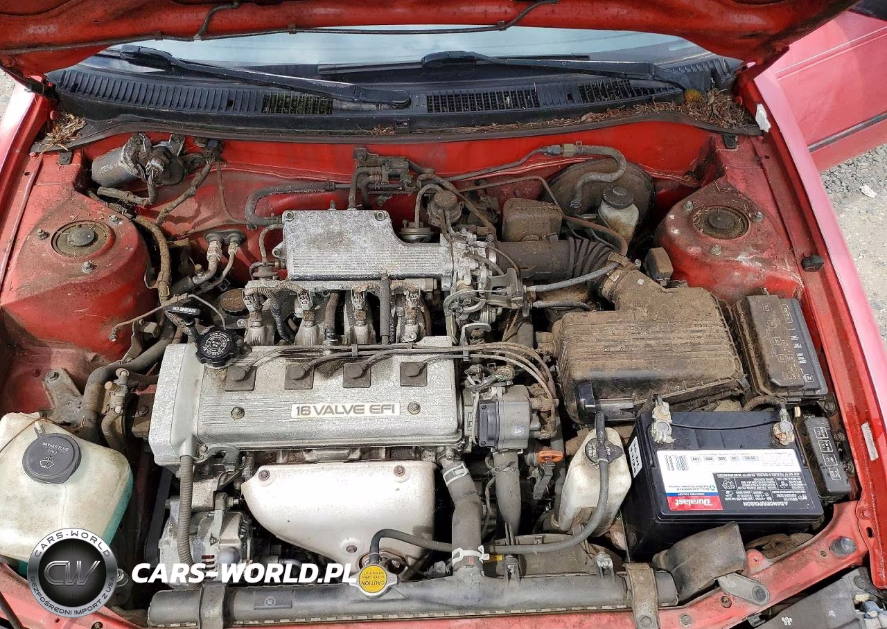 1993 Toyota Corolla Dx VIN:1NXAE09E7PZ055399 - 11