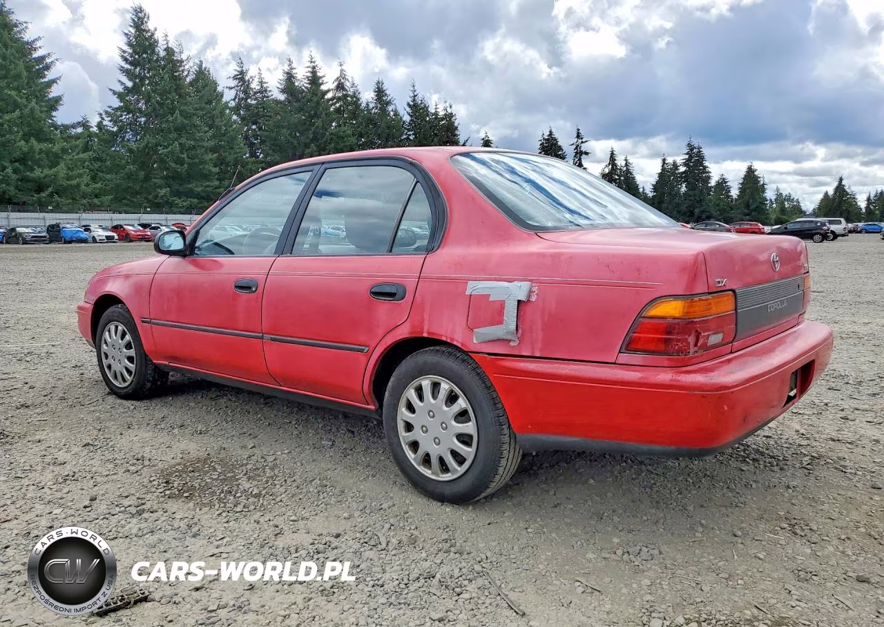 1993 Toyota Corolla Dx VIN:1NXAE09E7PZ055399 - 2