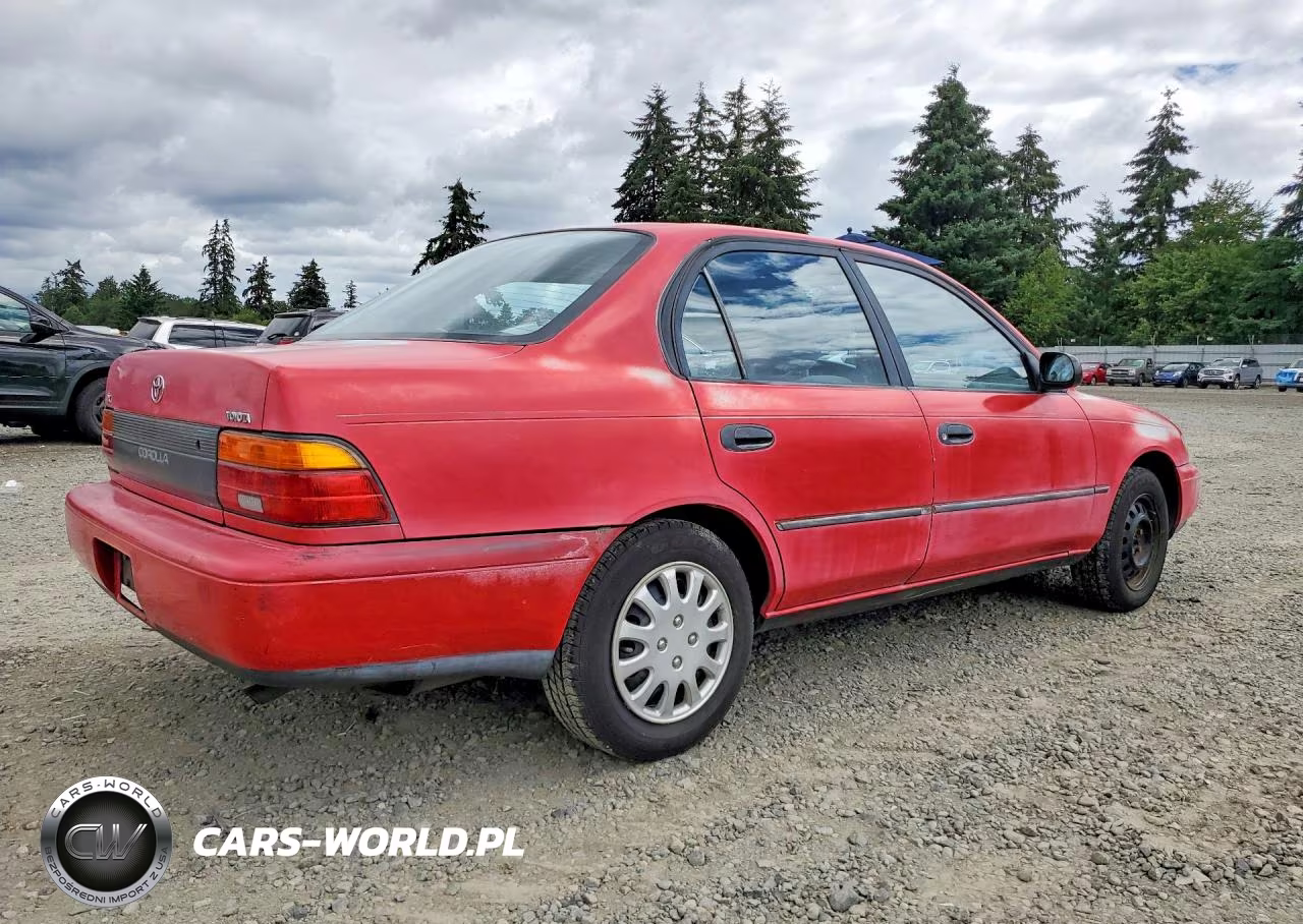 1993 Toyota Corolla Dx VIN:1NXAE09E7PZ055399 - 3