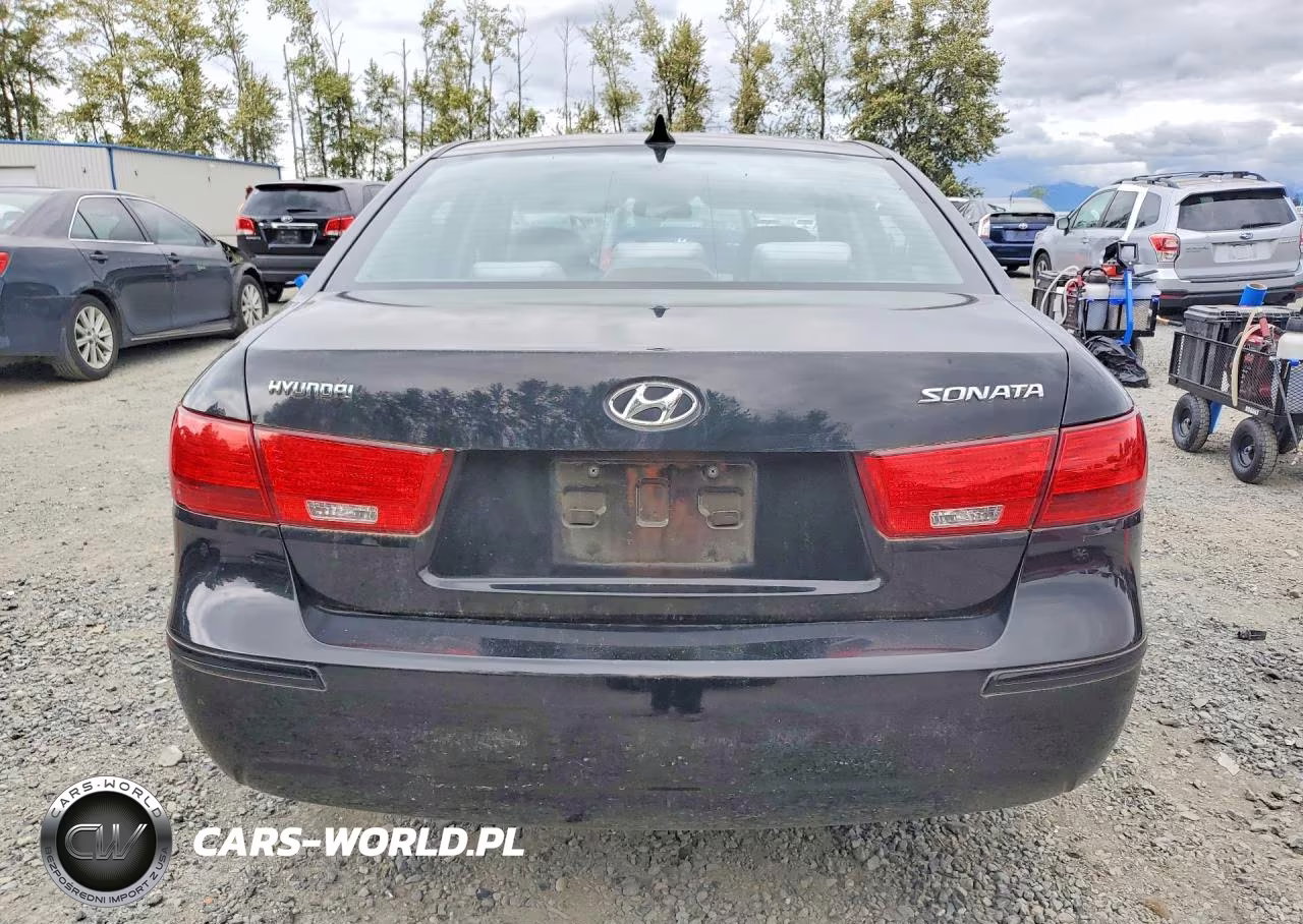 2010 Hyundai Sonata Gls VIN:5NPET4AC5AH624183 - 6
