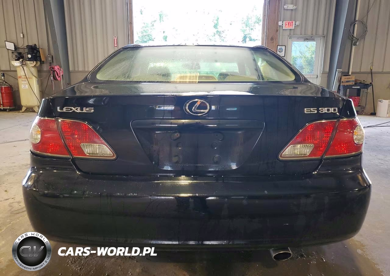 2002 Lexus Es 300 VIN:JTHBF30GX20084934 - 6