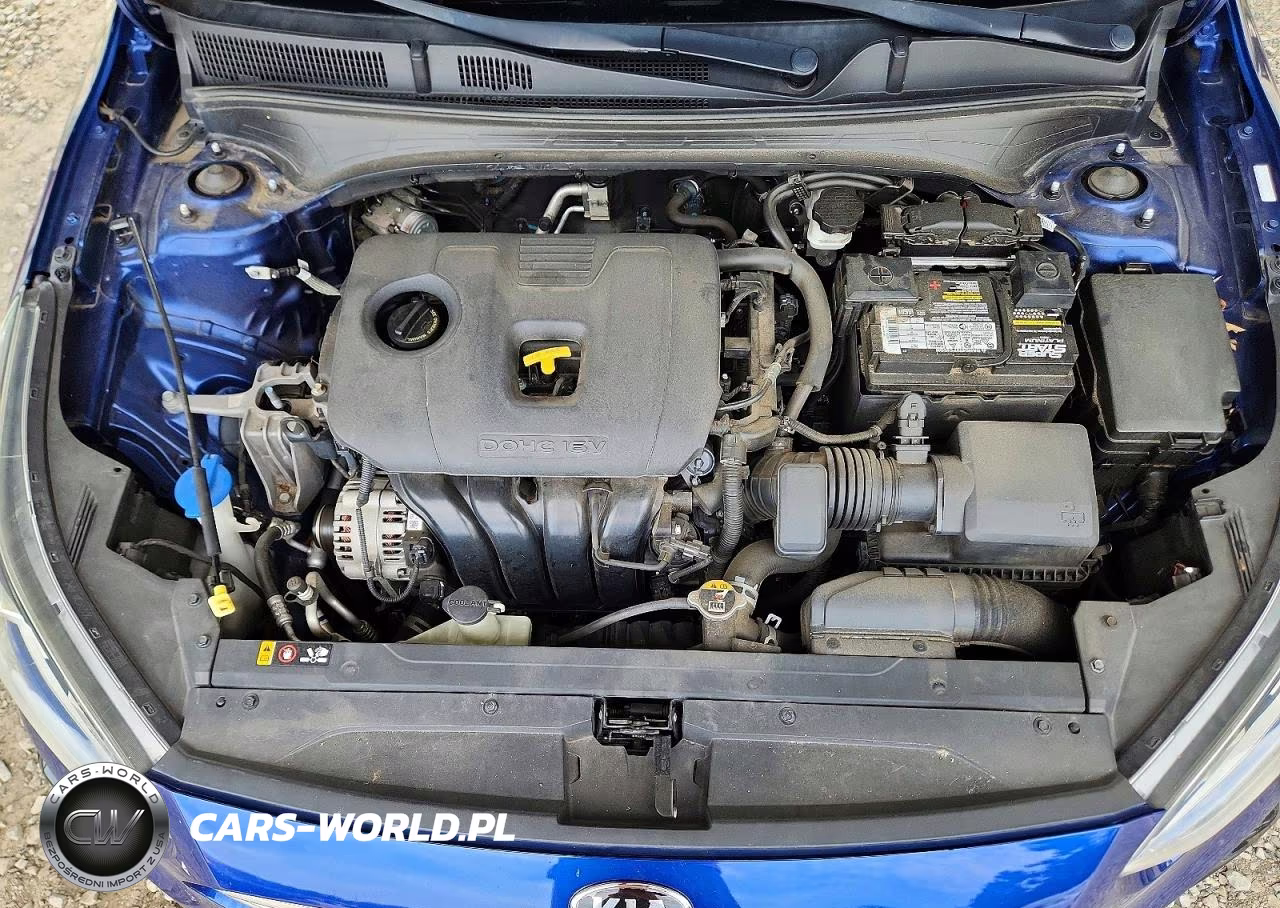 2019 Kia Forte S VIN:3KPF34AD9KE124157 - 11