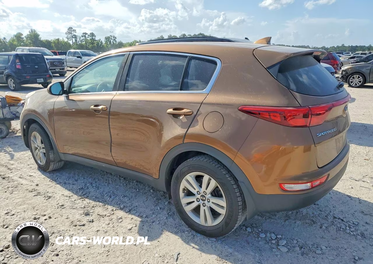 2017 Kia Sportage Lx VIN:KNDPM3AC2H7295571 - 2