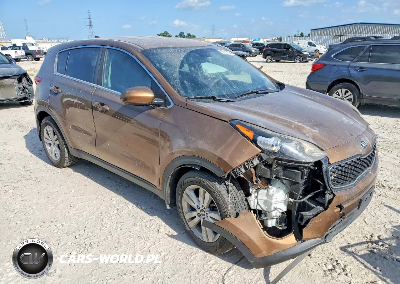 2017 Kia Sportage Lx VIN:KNDPM3AC2H7295571 - 4
