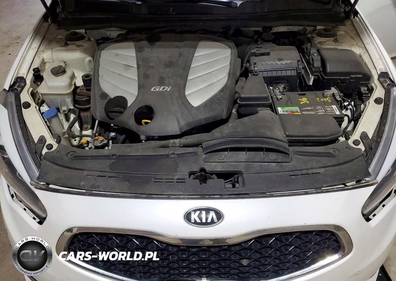 2014 Kia Cadenza Premium VIN:KNALN4D74E5129363 - 11