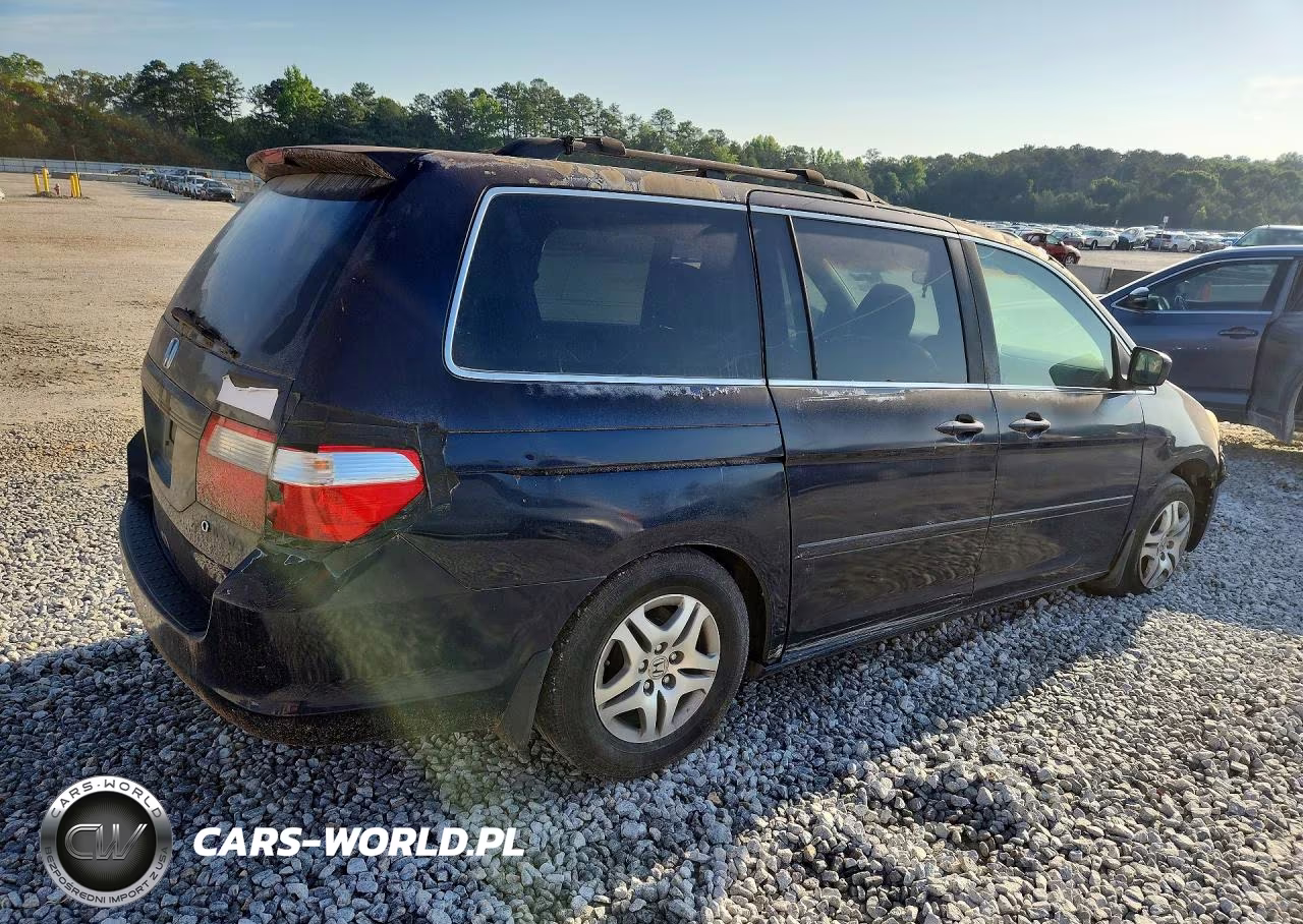 2005 Honda Odyssey Exl VIN:5FNRL38685B094601 - 3