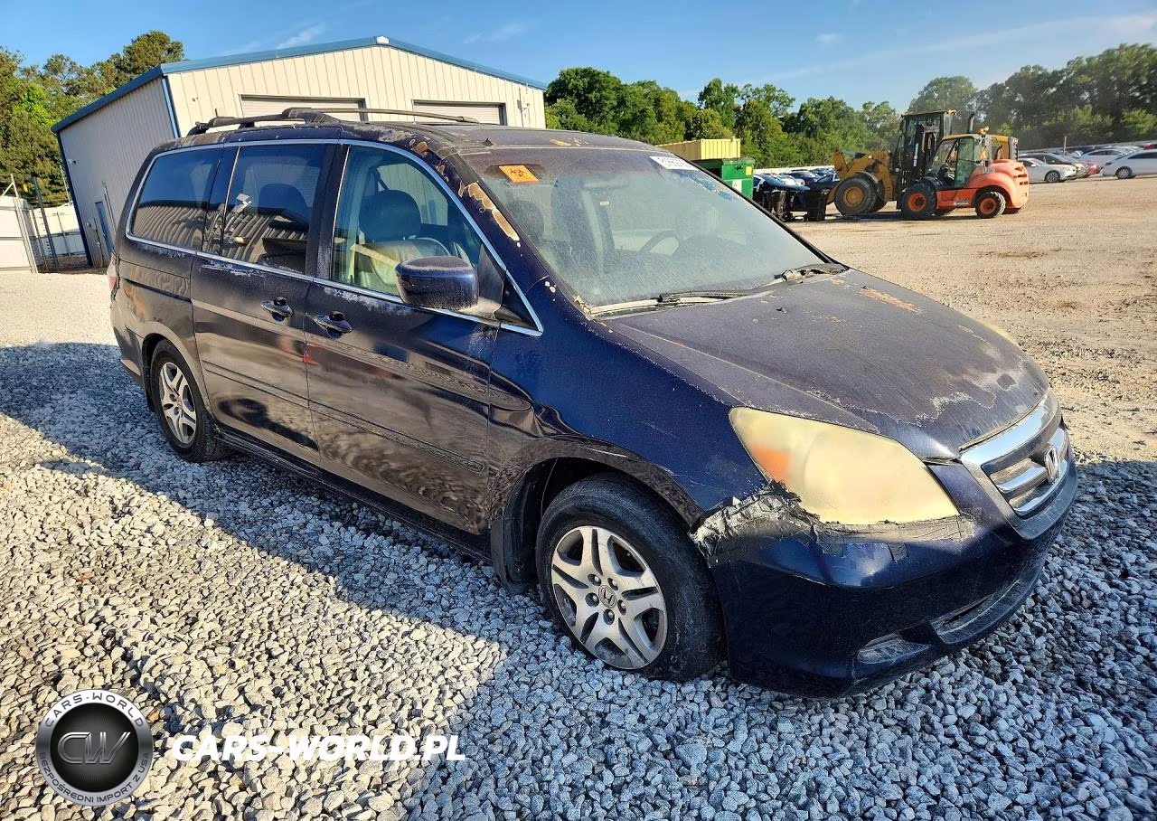 2005 Honda Odyssey Exl VIN:5FNRL38685B094601 - 4