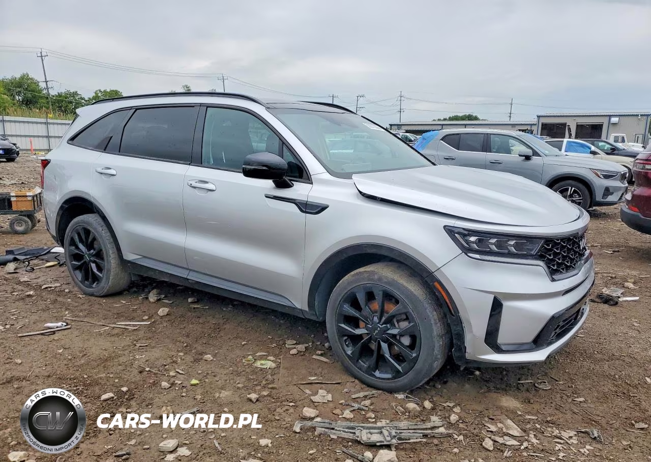 2022 Kia Sorento Sx VIN:5XYRKDLF5NG110696 - 4