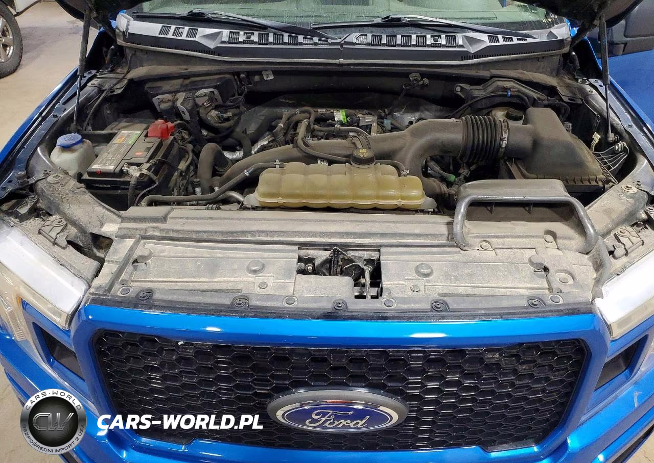 2019 Ford F150 Xl VIN:1FTEW1EPXKKF02098 - 11