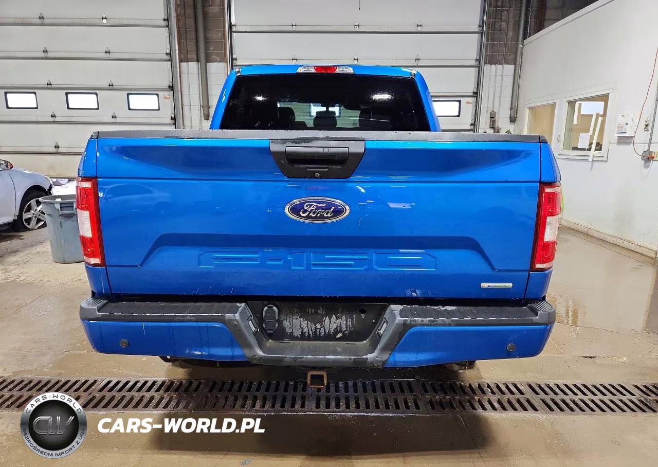 2019 Ford F150 Xl VIN:1FTEW1EPXKKF02098 - 6