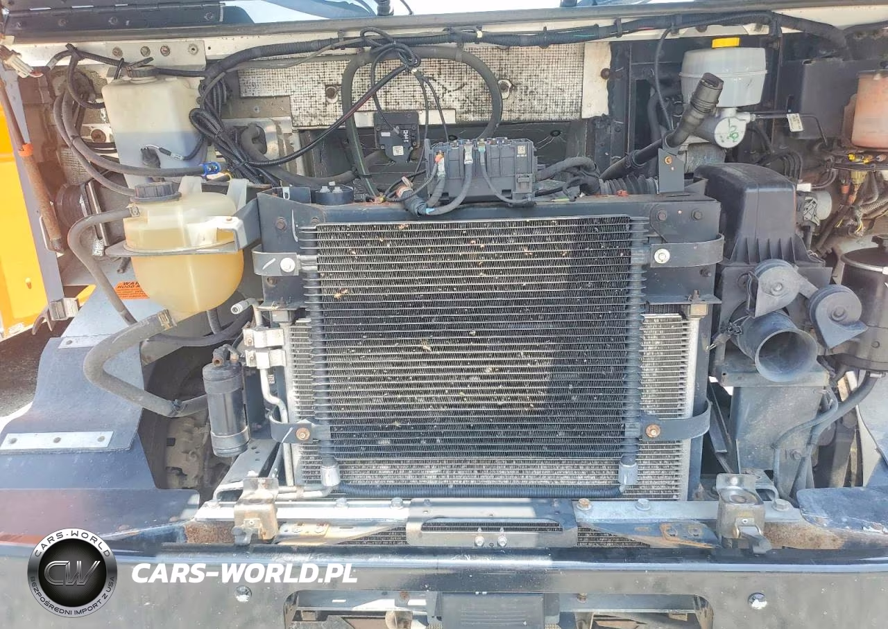 2021 Ford Super Duty F-59 Stripped Chassis Drw VIN:1F65F5KN0M0A01569 - 12