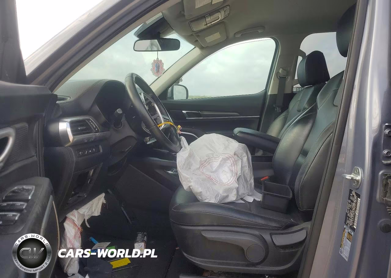 2022 Kia Telluride Lx VIN:5XYP2DHC7NG229811 - 7