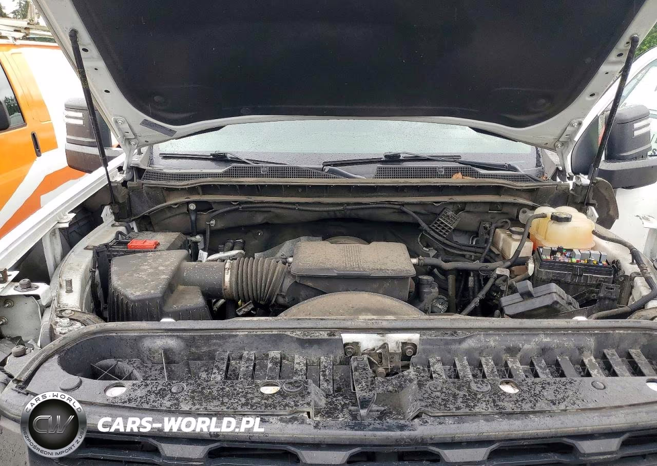 2022 Chevrolet Silverado K2500 Heavy Duty VIN:1GC3YLE78NF241421 - 11