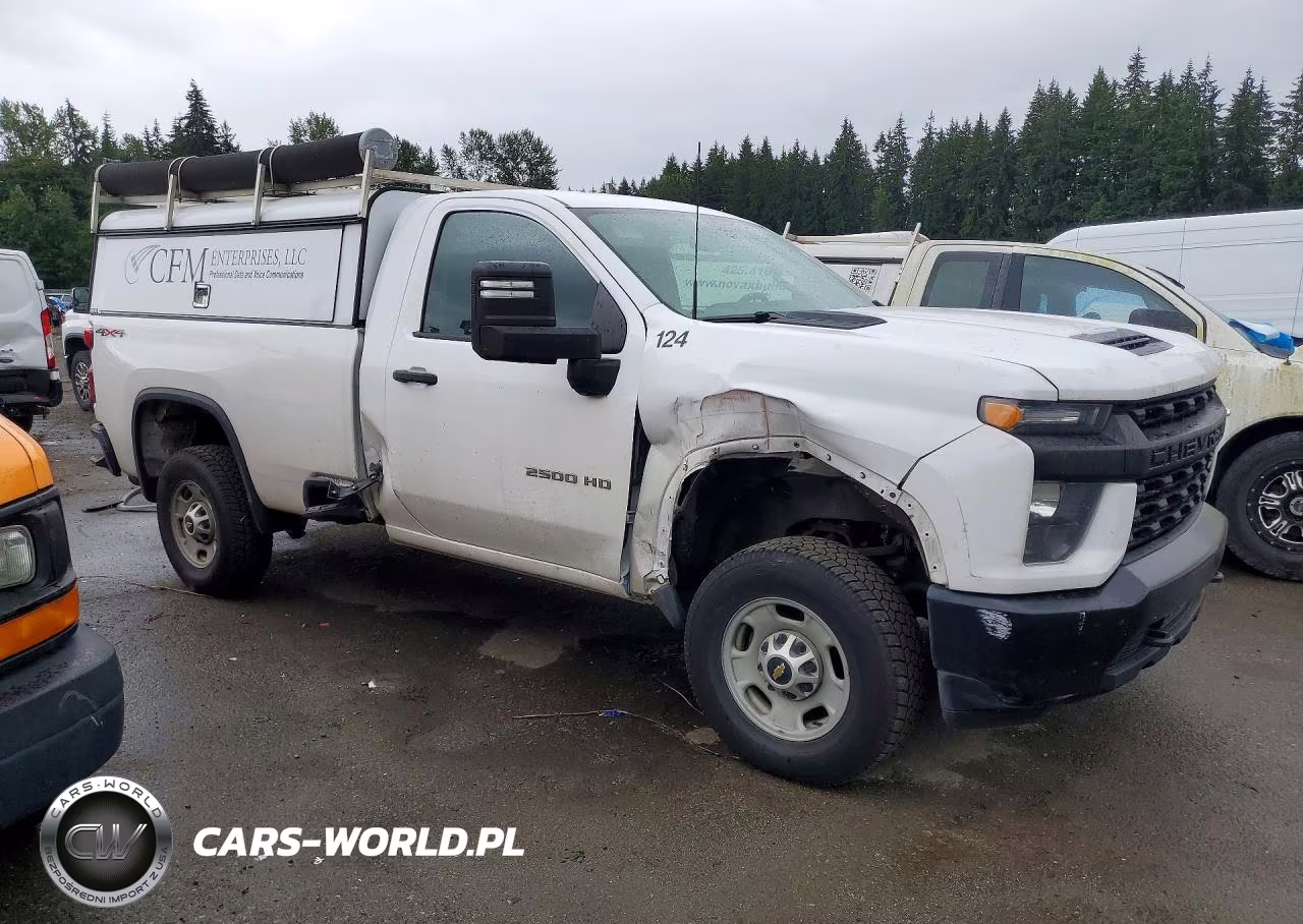 2022 Chevrolet Silverado K2500 Heavy Duty VIN:1GC3YLE78NF241421 - 4