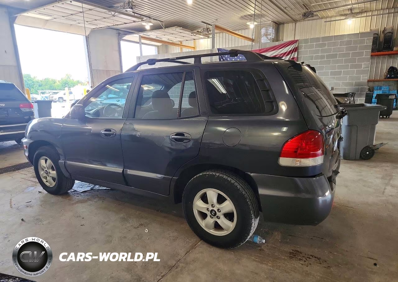 2006 Hyundai Santa Fe Gls VIN:KM8SC13D66U038768 - 2