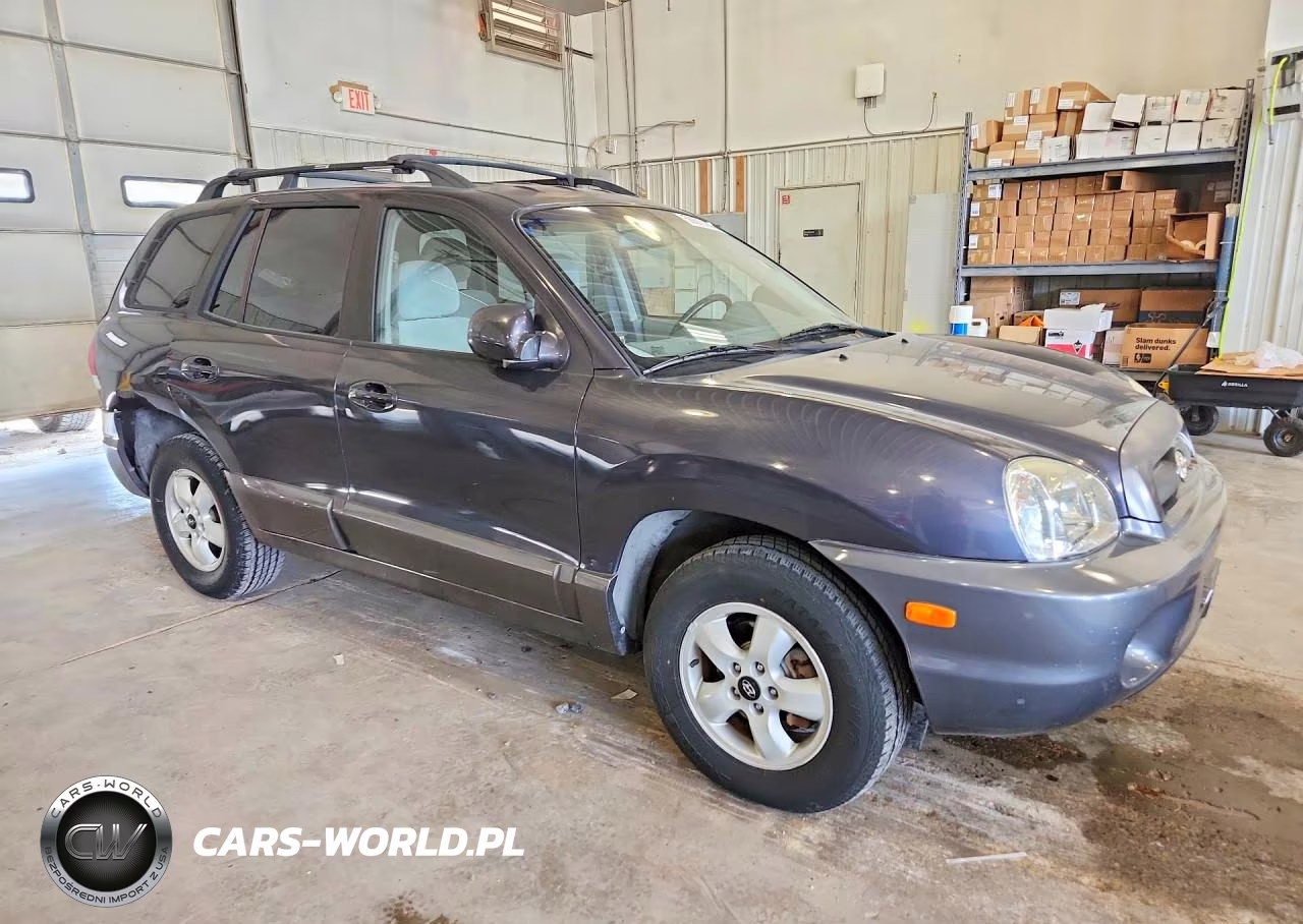 2006 Hyundai Santa Fe Gls VIN:KM8SC13D66U038768 - 4