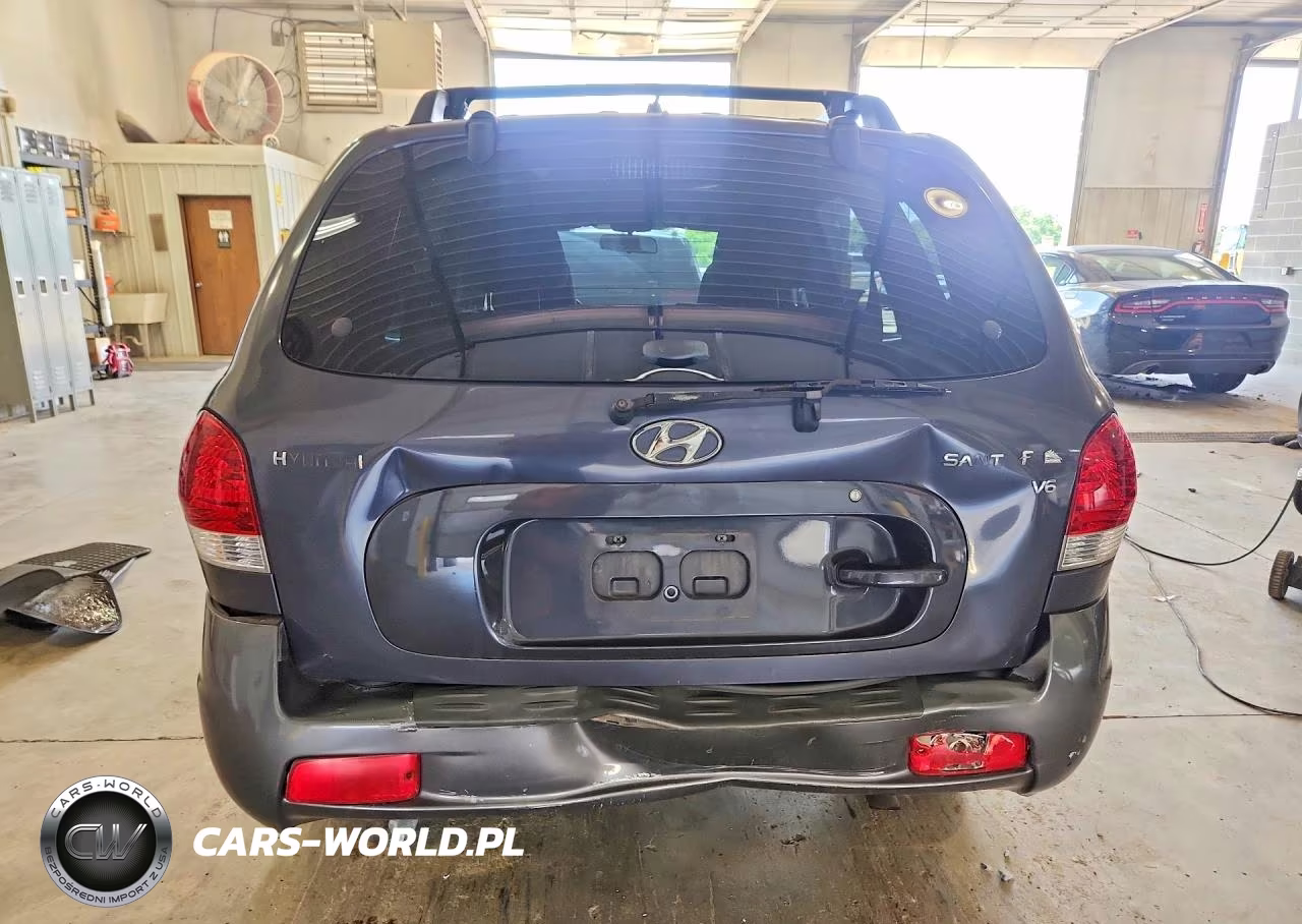 2006 Hyundai Santa Fe Gls VIN:KM8SC13D66U038768 - 6