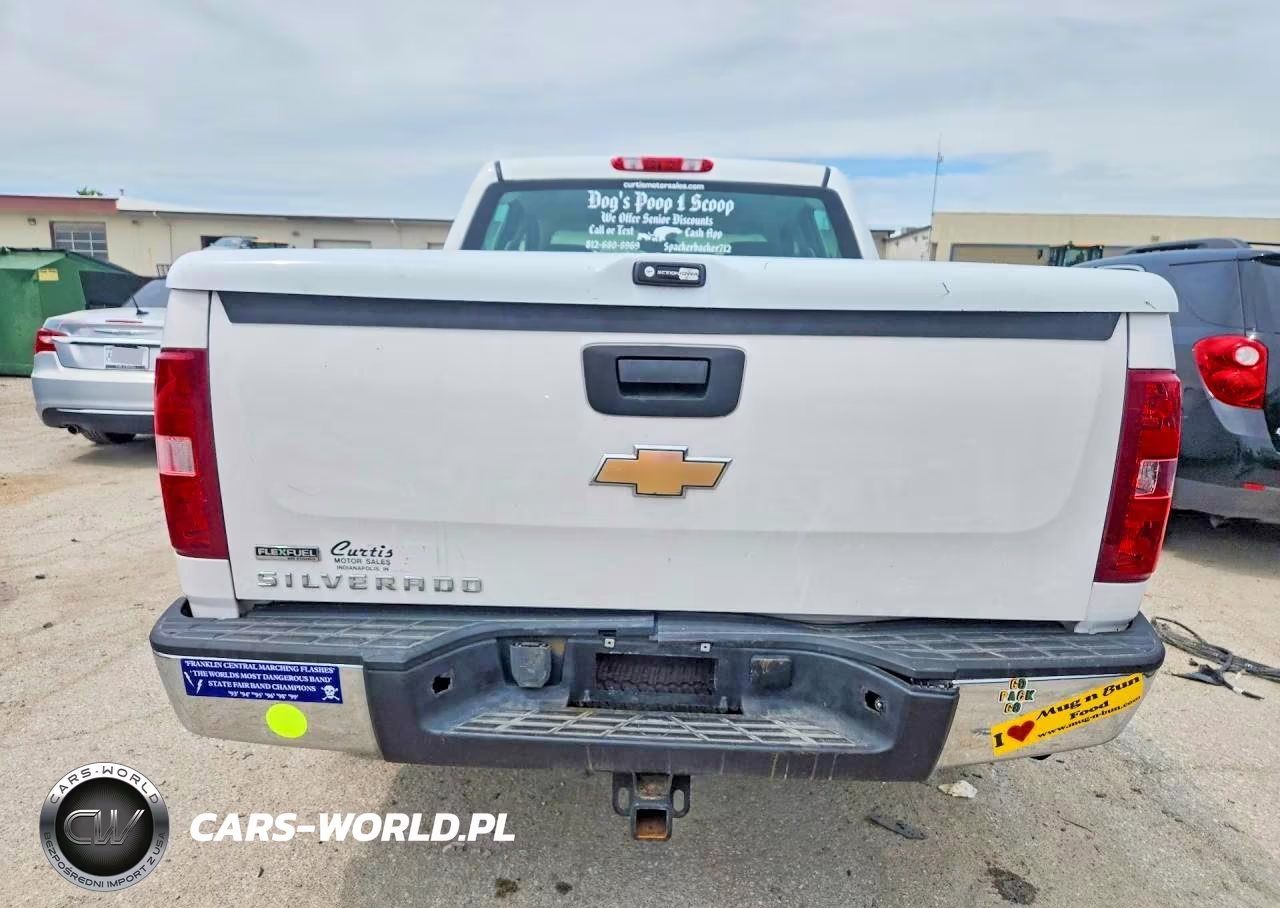 2010 Chevrolet Silverado C1500 VIN:3GCRCPEA3AG102673 - 6