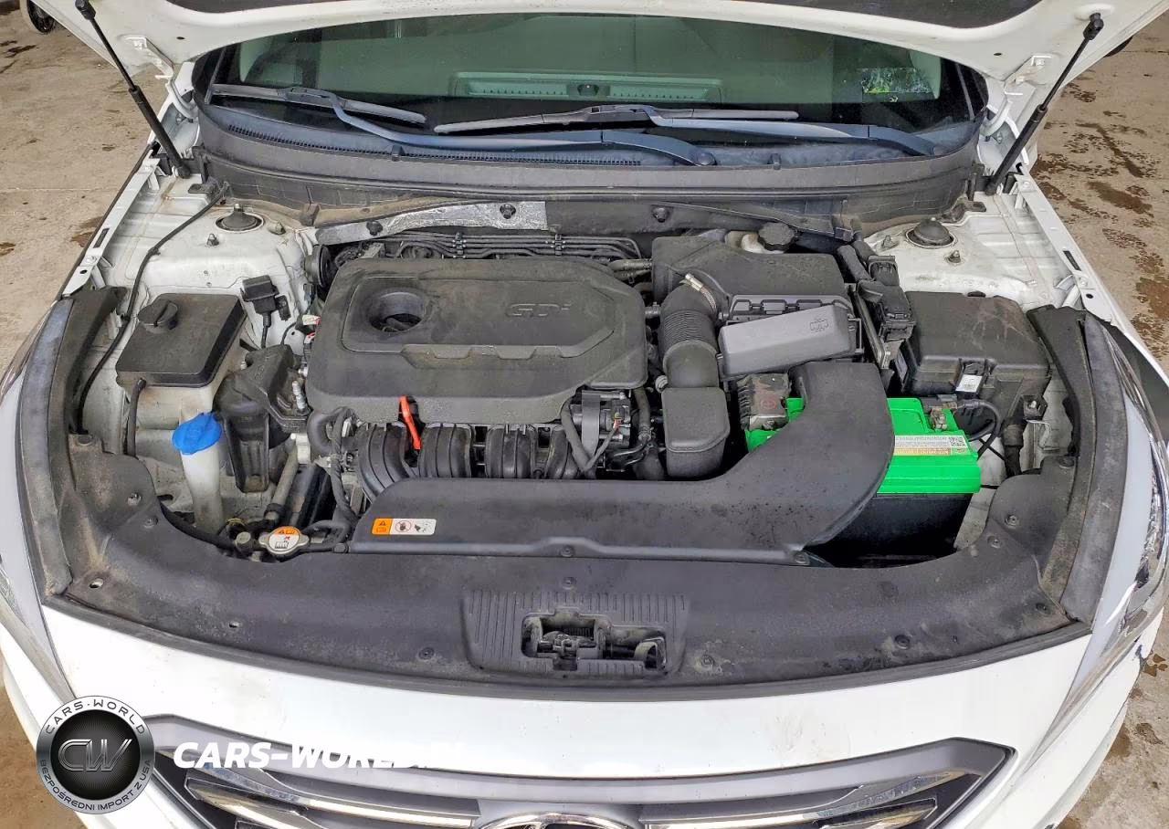 2015 Hyundai Sonata Sport VIN:5NPE34AF7FH087141 - 11