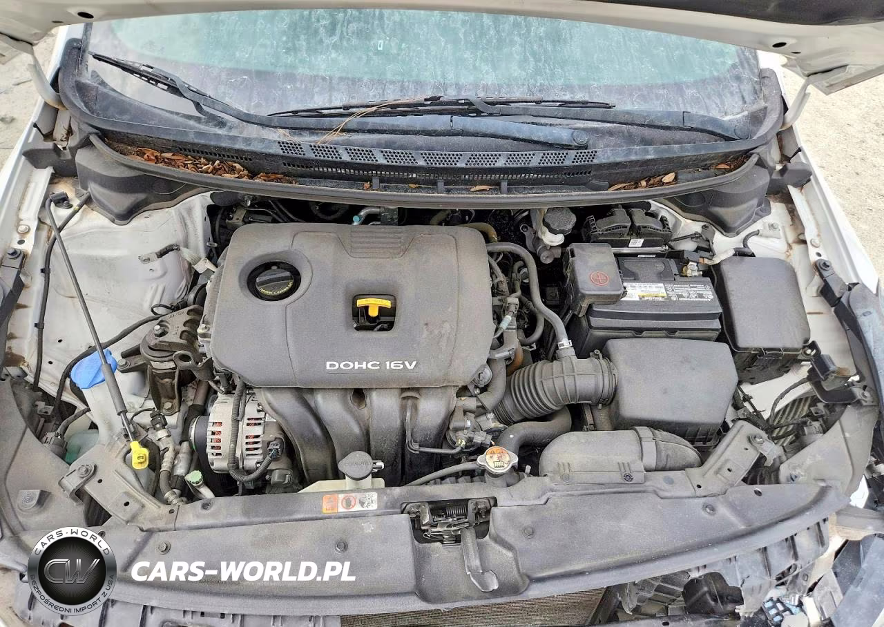 2018 Kia Forte Lx VIN:3KPFL4A7XJE256501 - 11