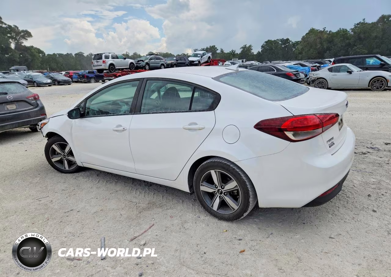 2018 Kia Forte Lx VIN:3KPFL4A7XJE256501 - 2