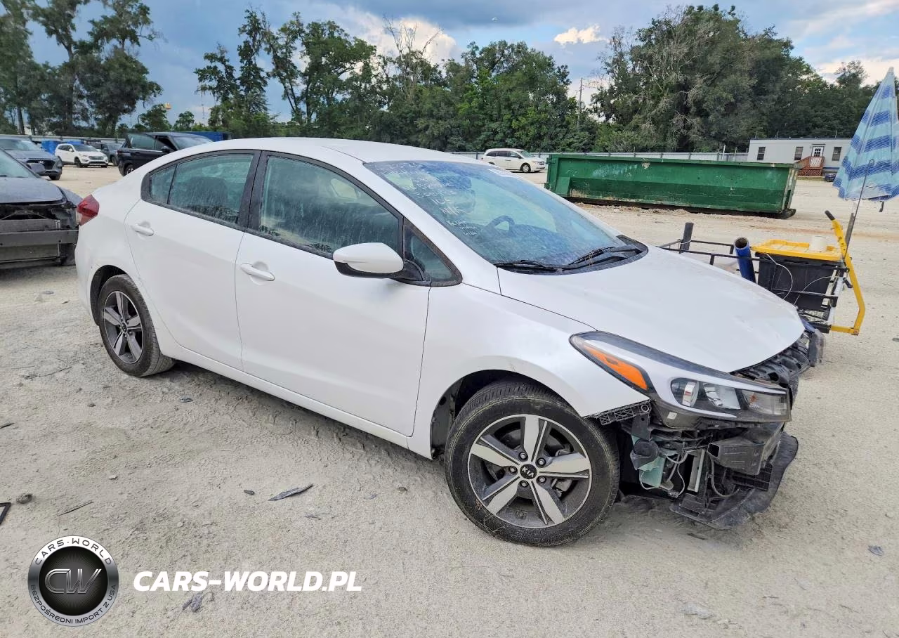 2018 Kia Forte Lx VIN:3KPFL4A7XJE256501 - 4