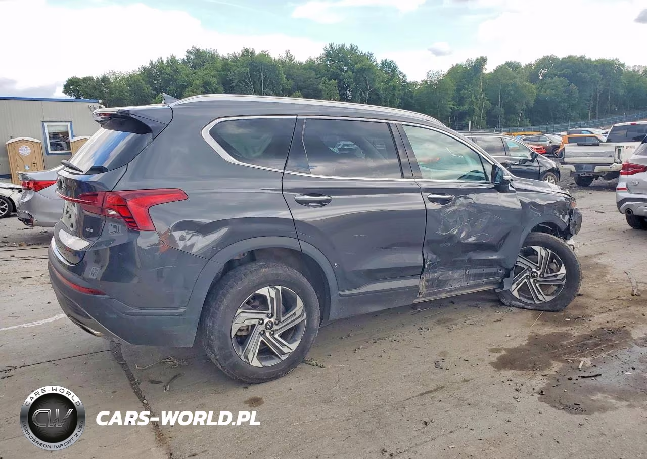 2023 Hyundai Santa Fe Sel VIN:5NMS2DAJ8PH616864 - 3