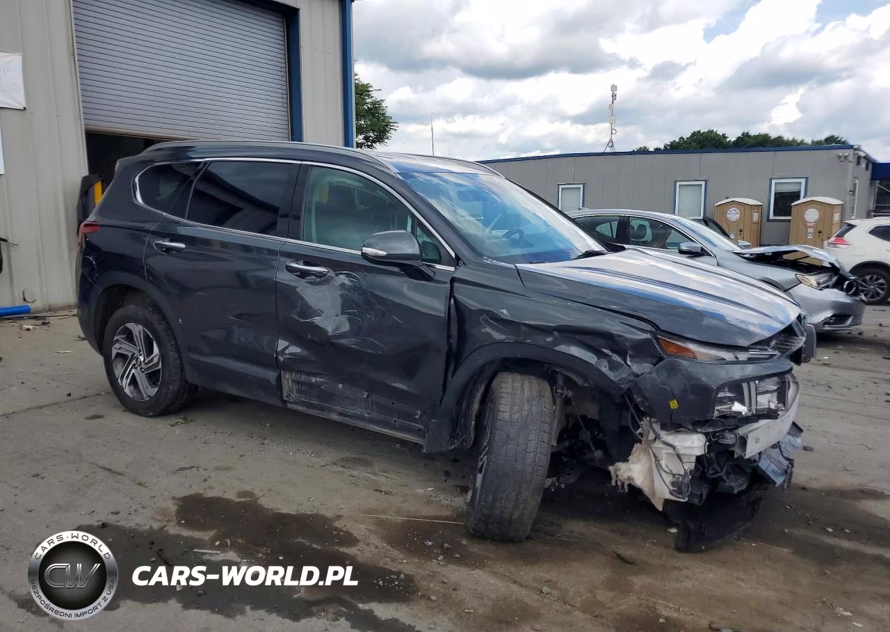 2023 Hyundai Santa Fe Sel VIN:5NMS2DAJ8PH616864 - 4