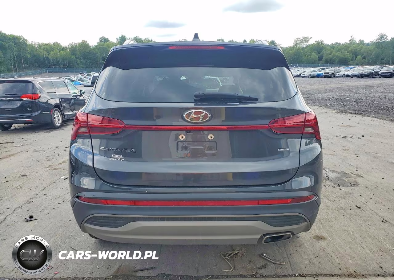 2023 Hyundai Santa Fe Sel VIN:5NMS2DAJ8PH616864 - 6