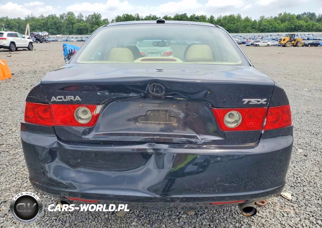 2008 Acura Tsx VIN:JH4CL96838C005112 - 6