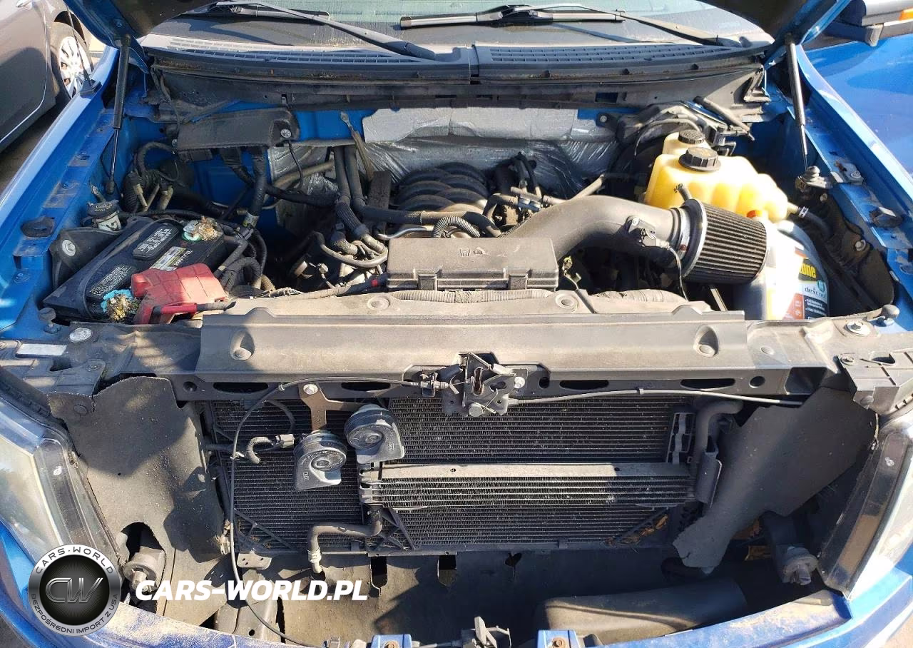 2011 Ford F150 Supercrew VIN:1FTFW1EF8BFD19867 - 11