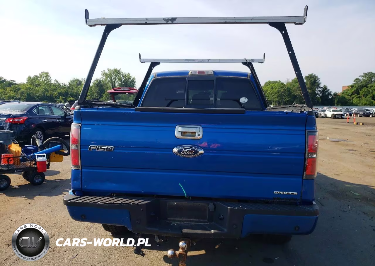 2011 Ford F150 Supercrew VIN:1FTFW1EF8BFD19867 - 6