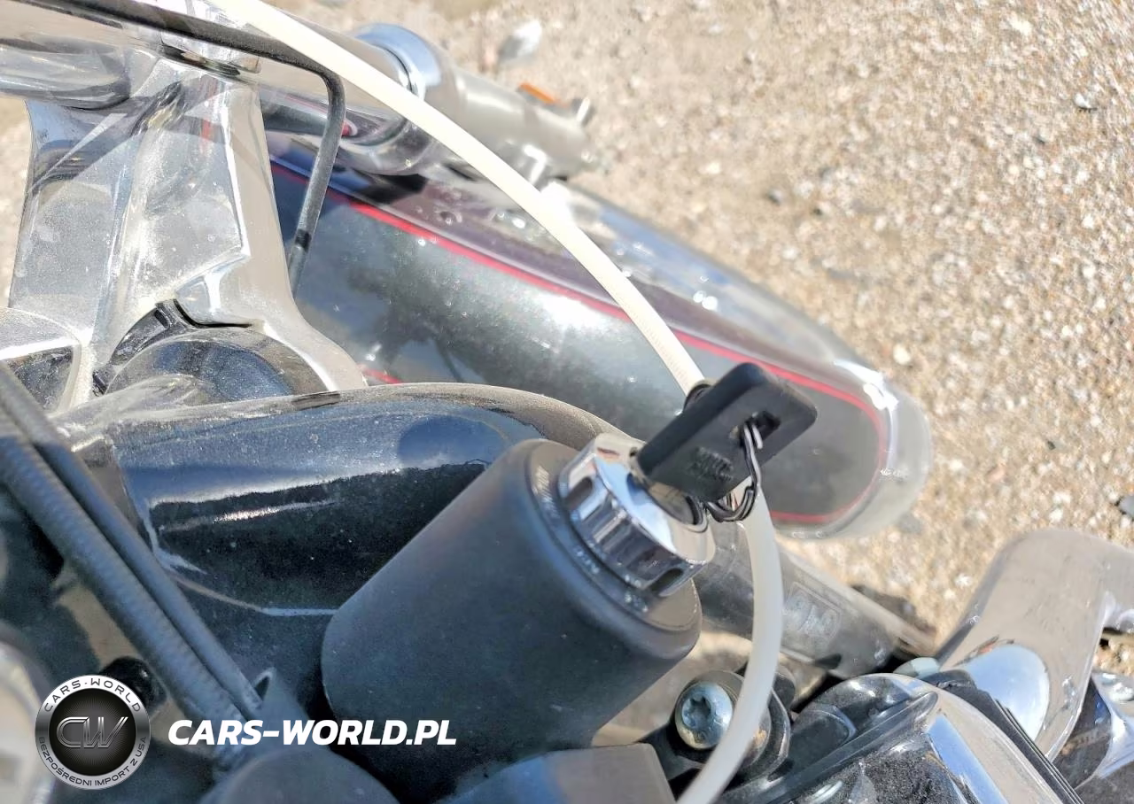 2005 Harley-Davidson Xl1200 C VIN:1HD1CGP125K407699 - 8