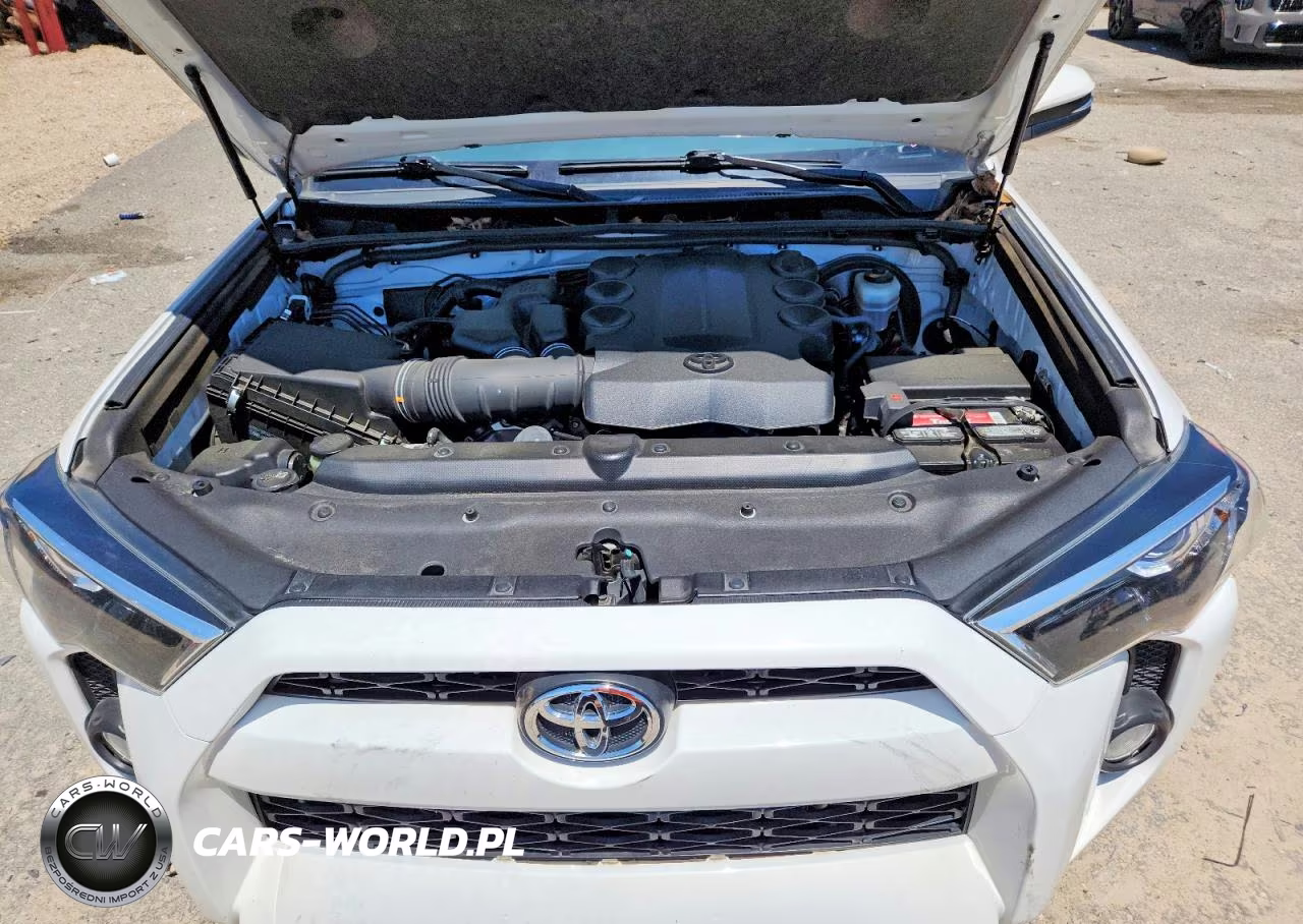 2019 Toyota 4Runner Sr5 Premium VIN:JTEZU5JR3K5203133 - 12