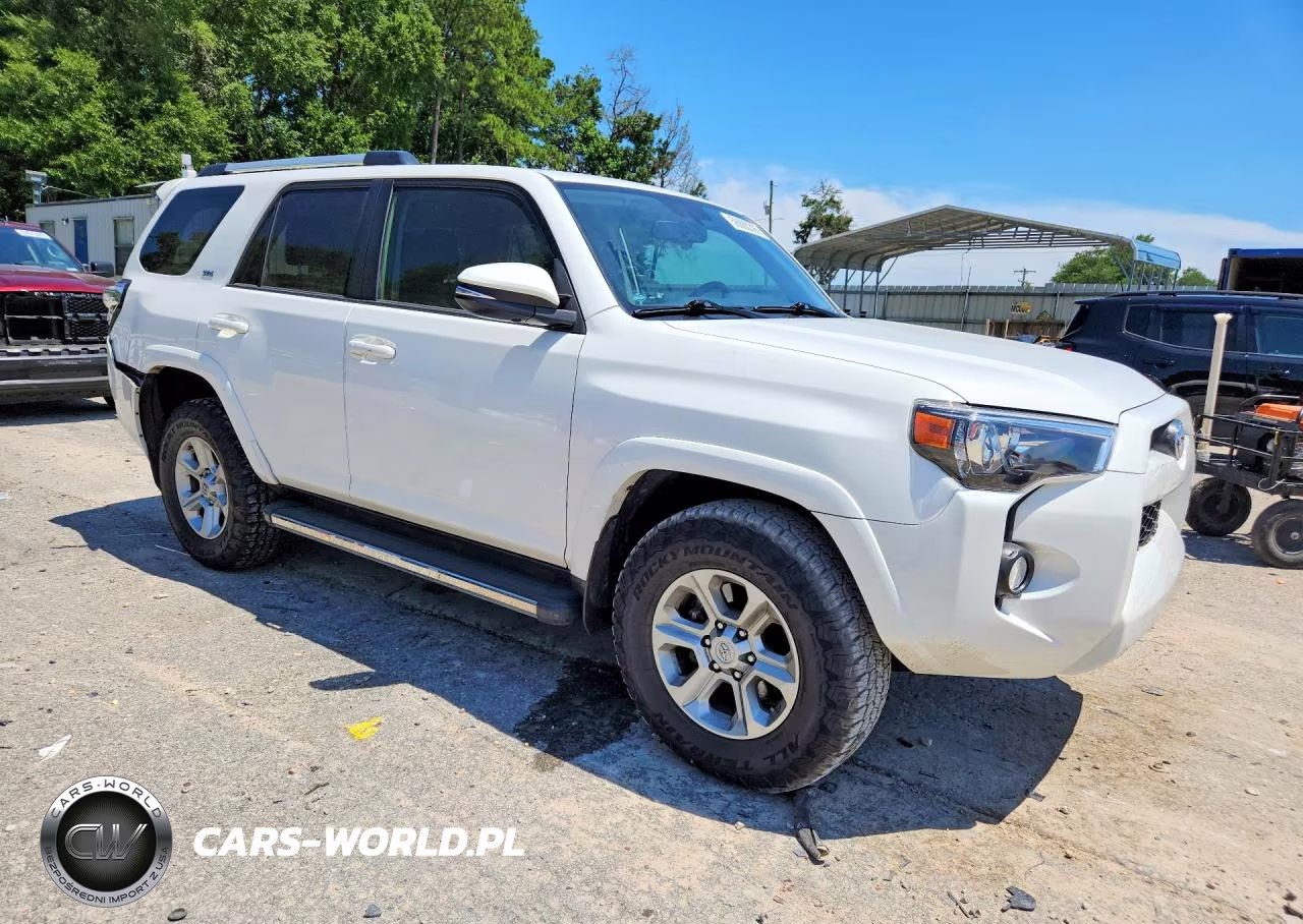 2019 Toyota 4Runner Sr5 Premium VIN:JTEZU5JR3K5203133 - 4