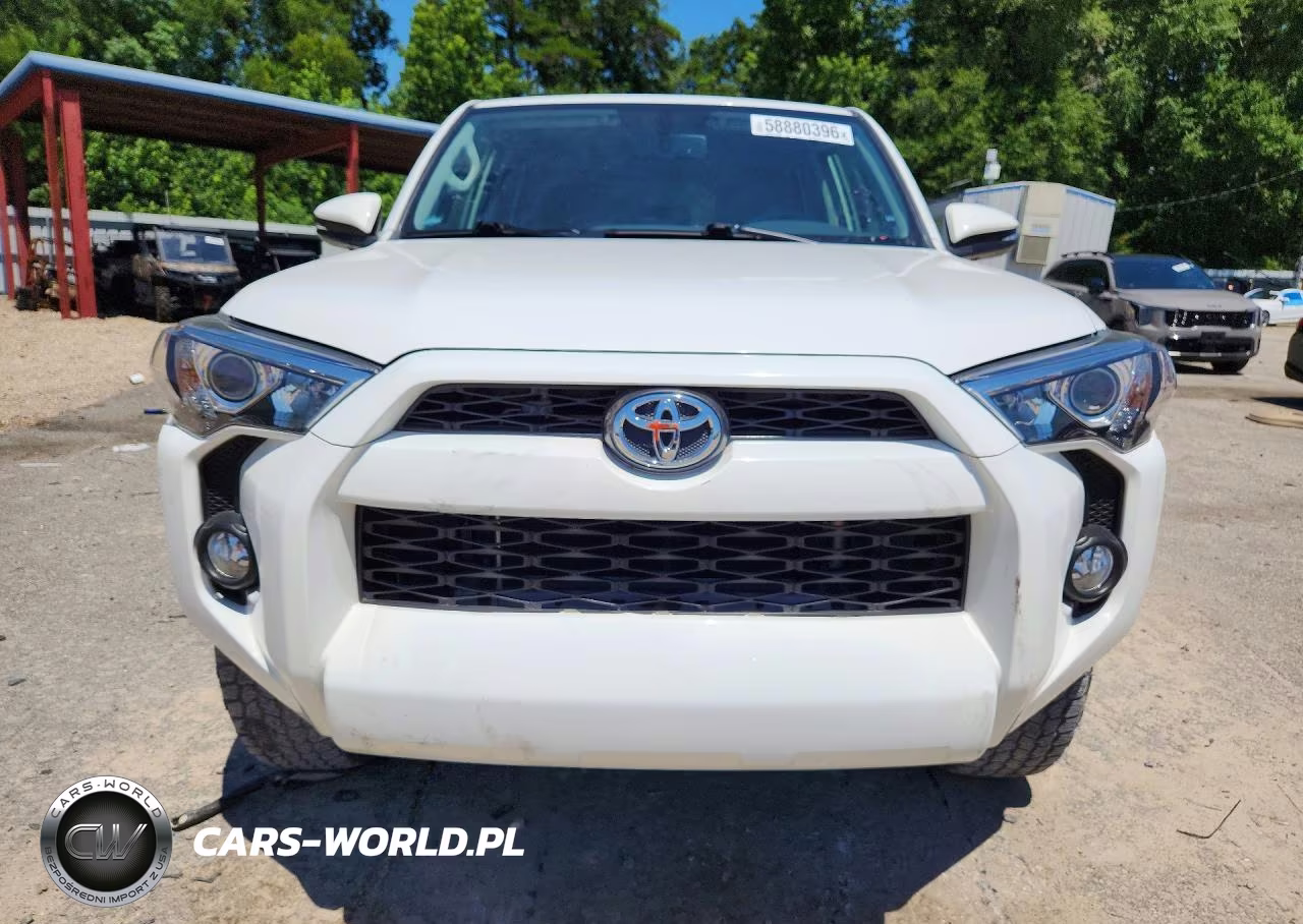 2019 Toyota 4Runner Sr5 Premium VIN:JTEZU5JR3K5203133 - 5