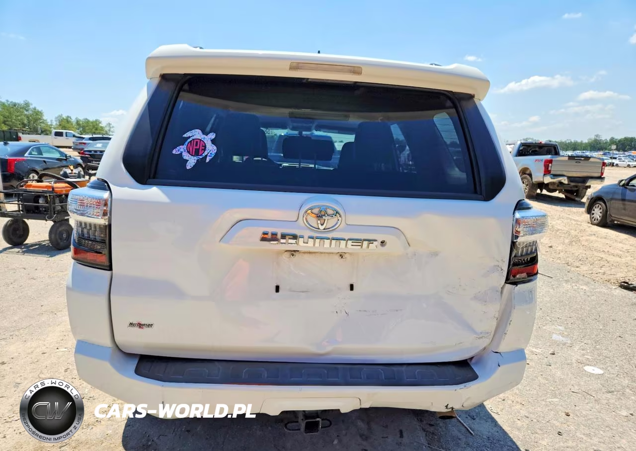 2019 Toyota 4Runner Sr5 Premium VIN:JTEZU5JR3K5203133 - 6