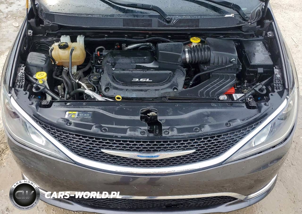 2018 Chrysler Pacifica Touring L Plus VIN:2C4RC1EGXJR260861 - 12