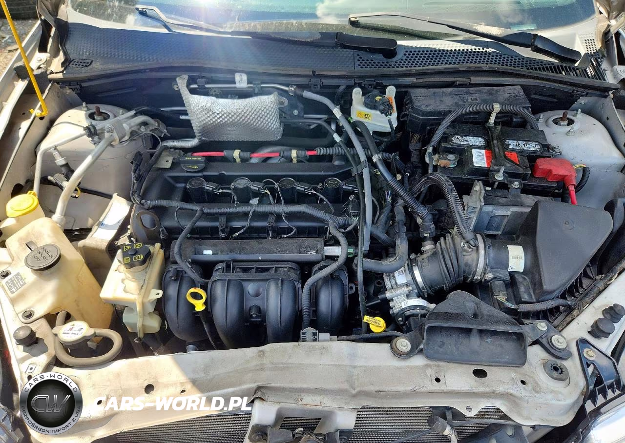 2010 Ford Focus Se VIN:1FAHP3FNXAW286298 - 11