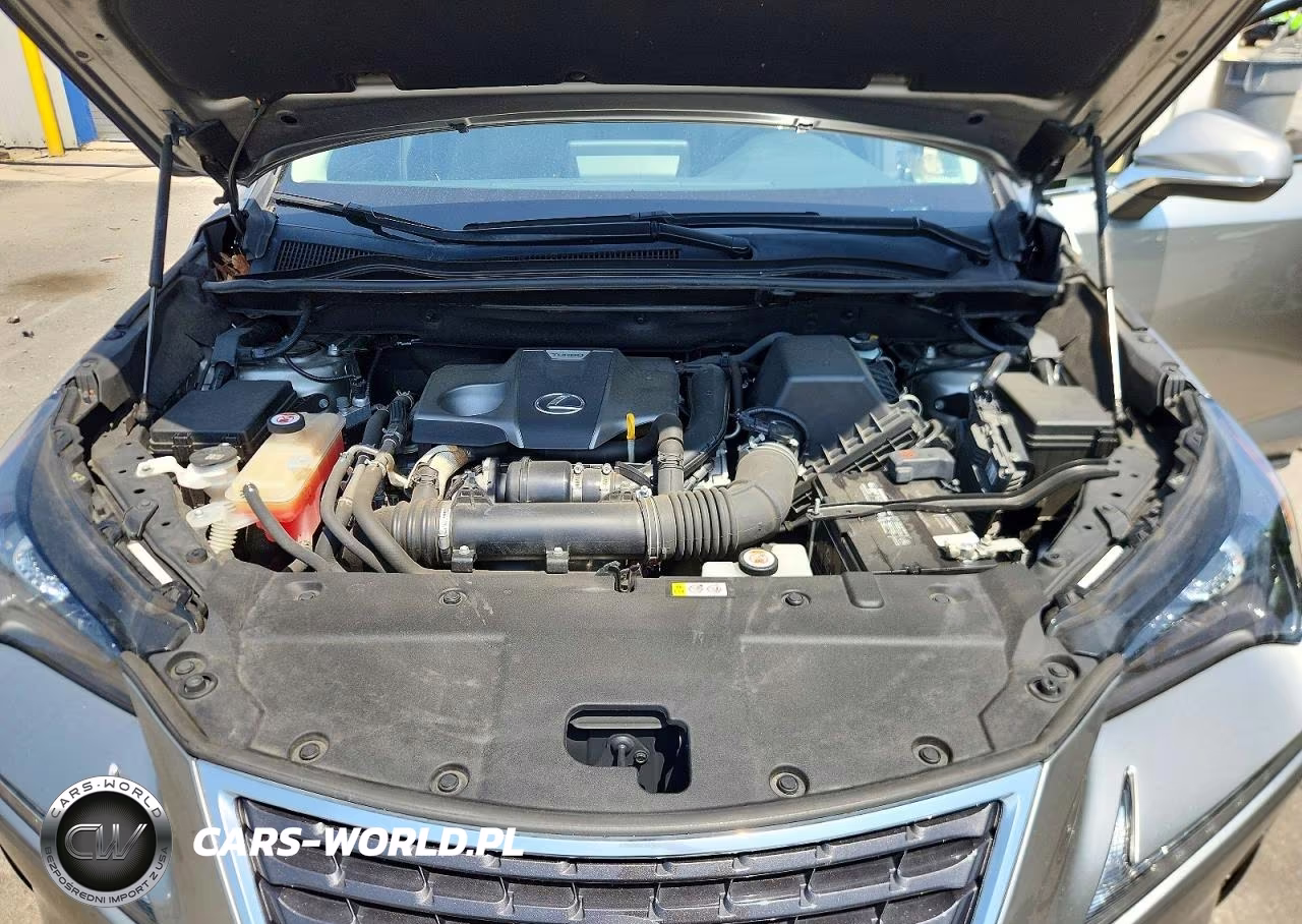 2019 Lexus Nx 300 Base VIN:JTJBARBZ8K2205365 - 12