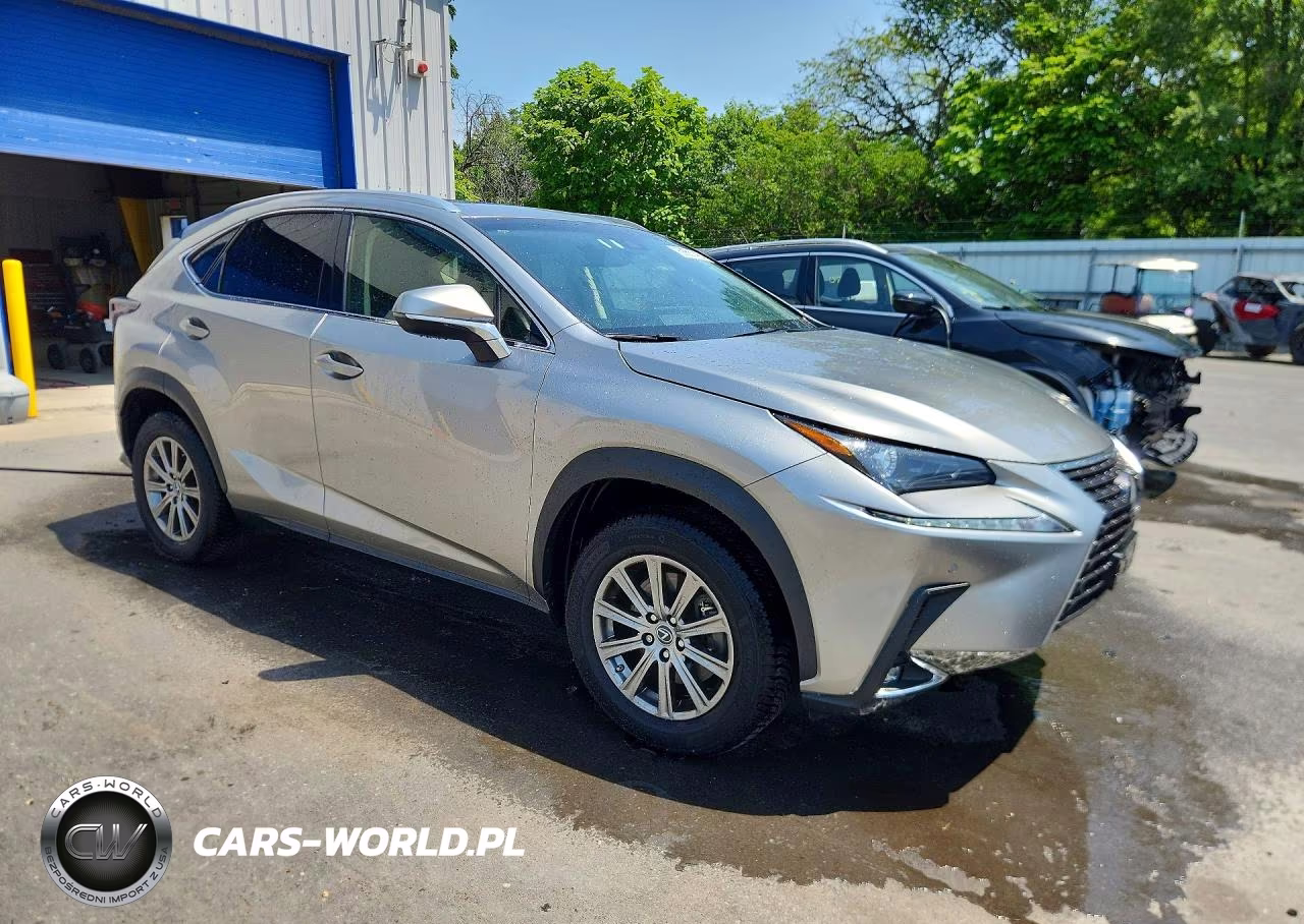 2019 Lexus Nx 300 Base VIN:JTJBARBZ8K2205365 - 4