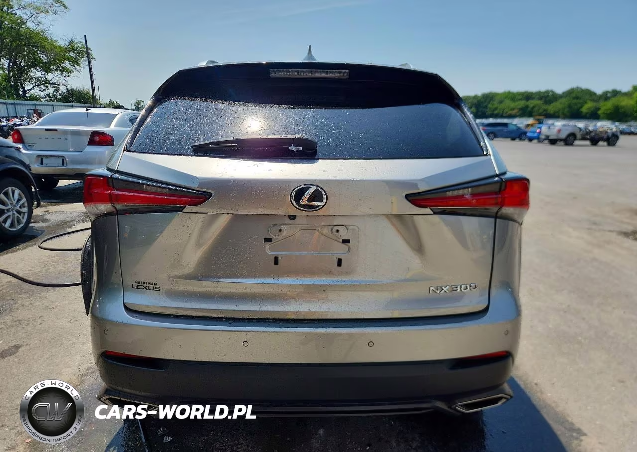 2019 Lexus Nx 300 Base VIN:JTJBARBZ8K2205365 - 6