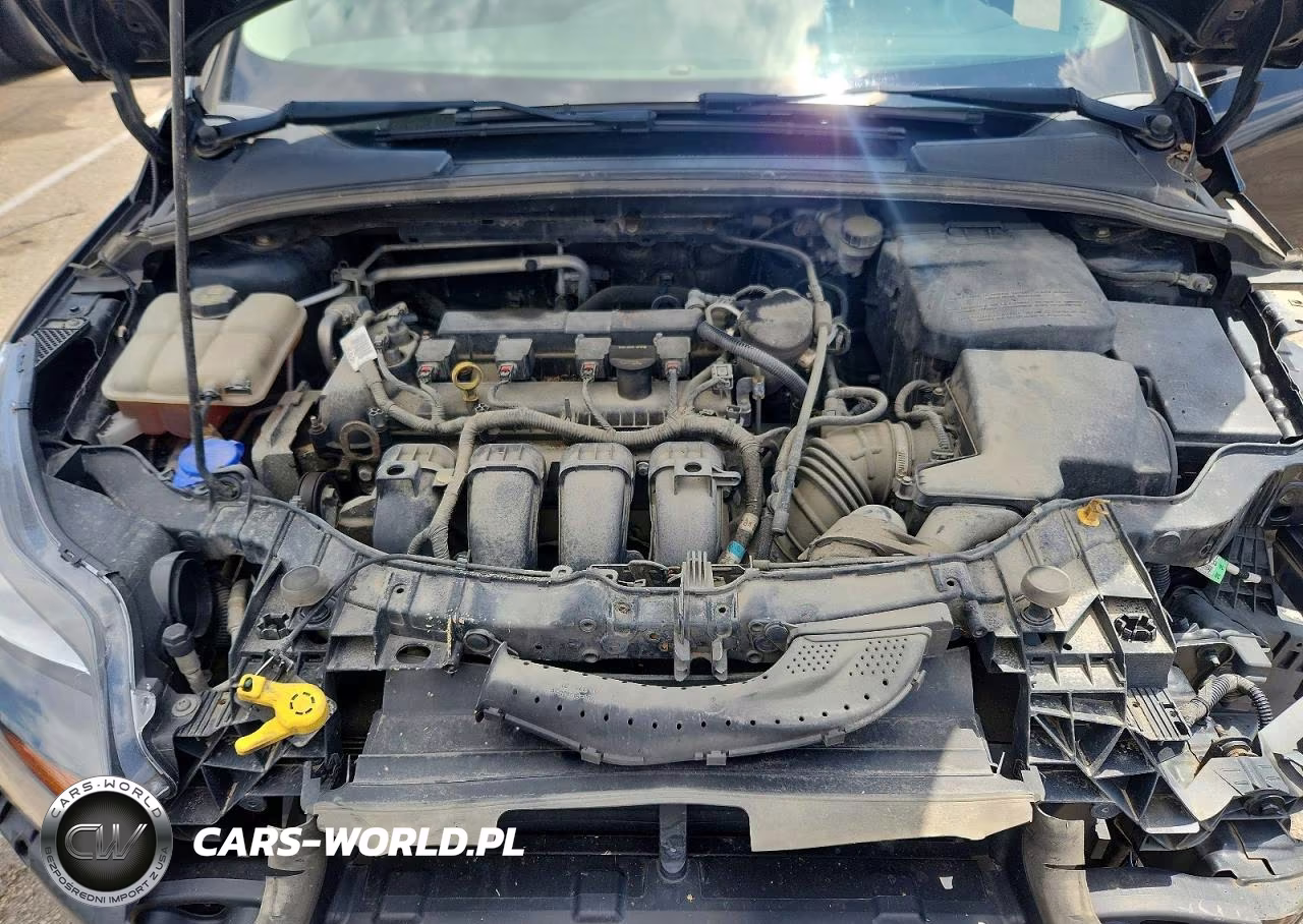 2014 Ford Focus Se VIN:1FADP3F20EL217633 - 11