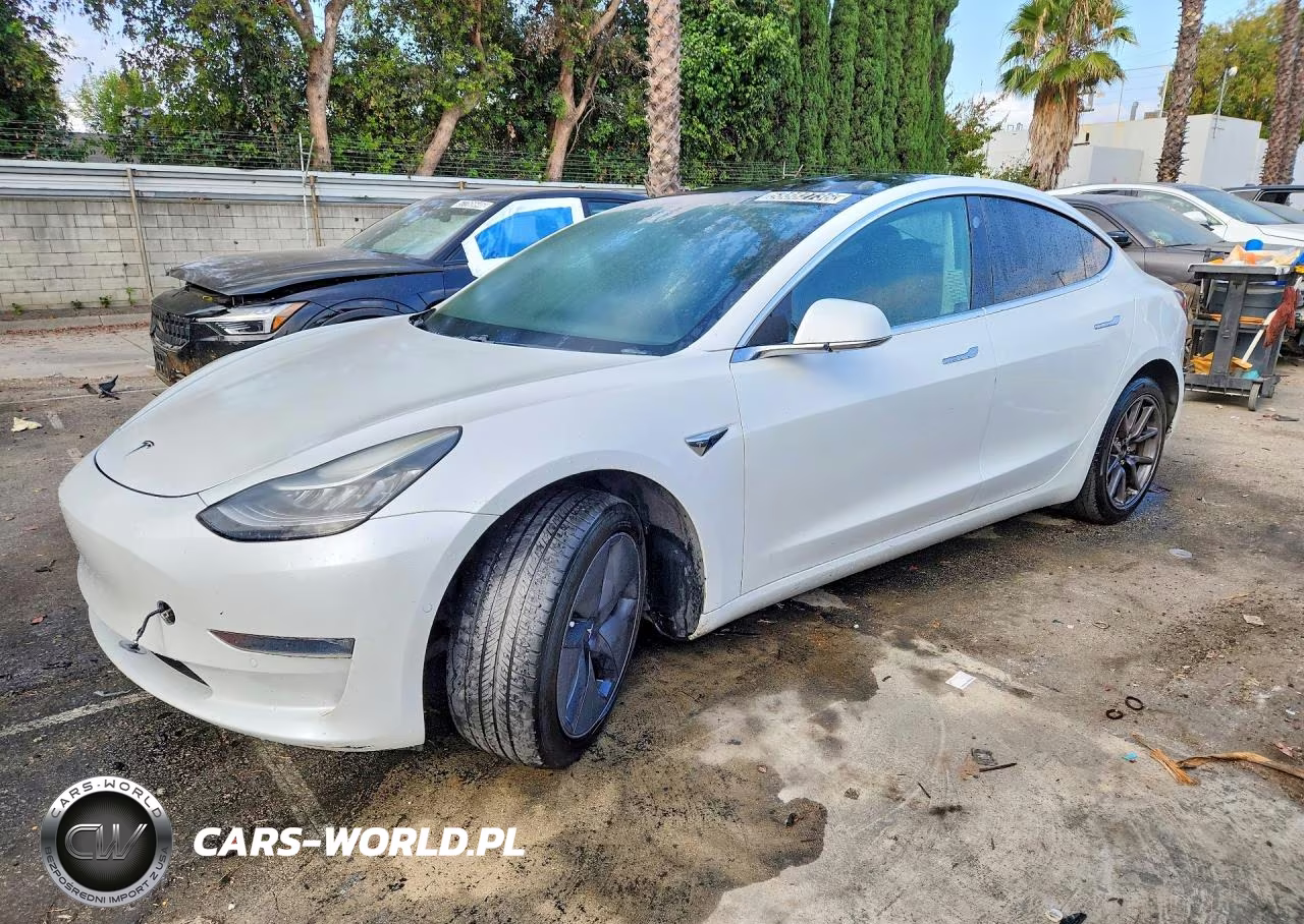 2019 Tesla Model 3