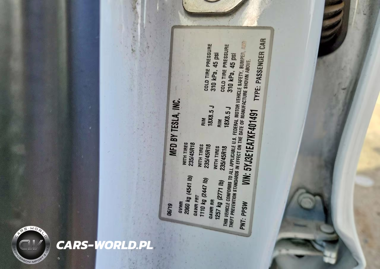 2019 Tesla Model 3 VIN:5YJ3E1EA7KF401491 - 12