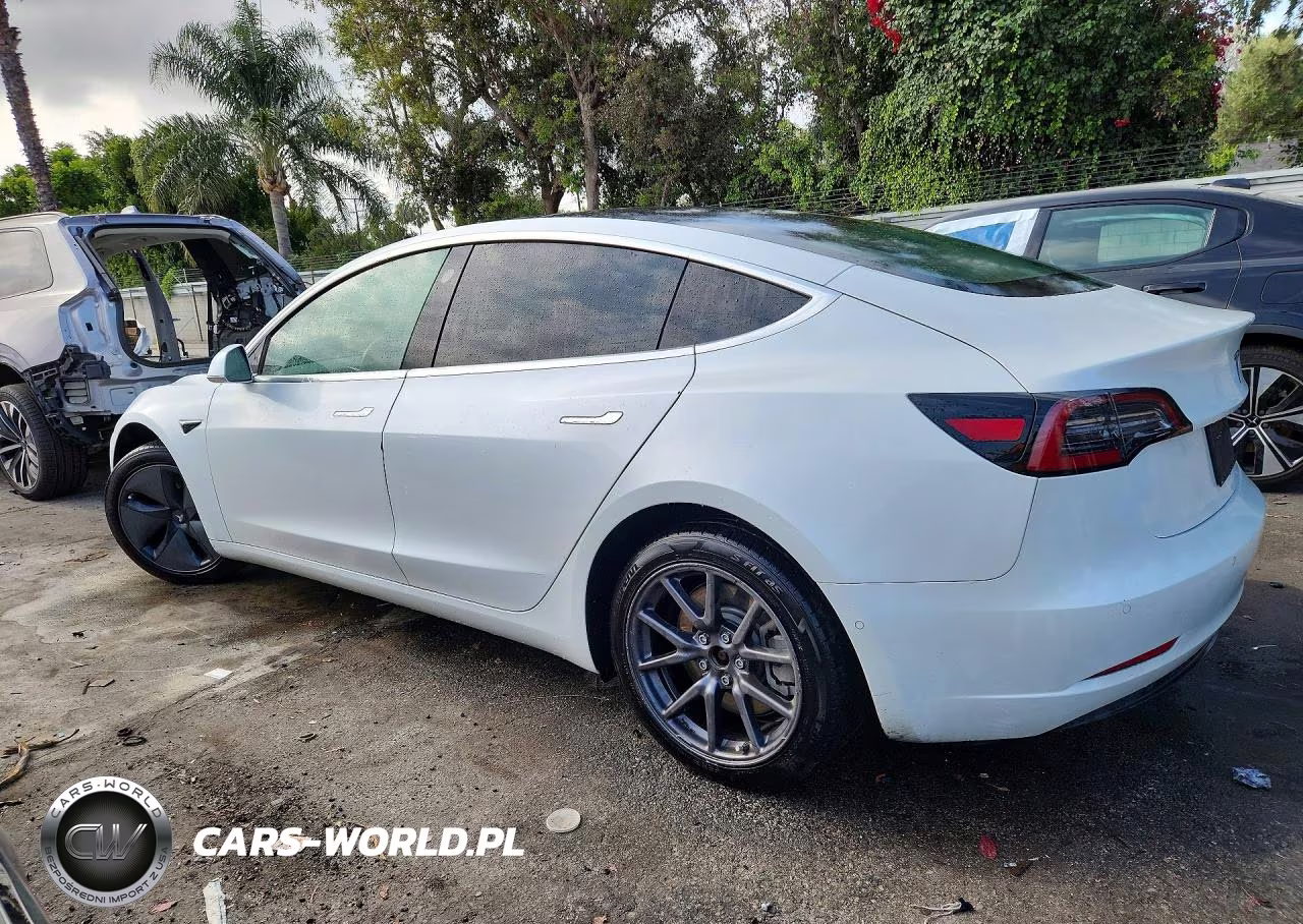 2019 Tesla Model 3 VIN:5YJ3E1EA7KF401491 - 2