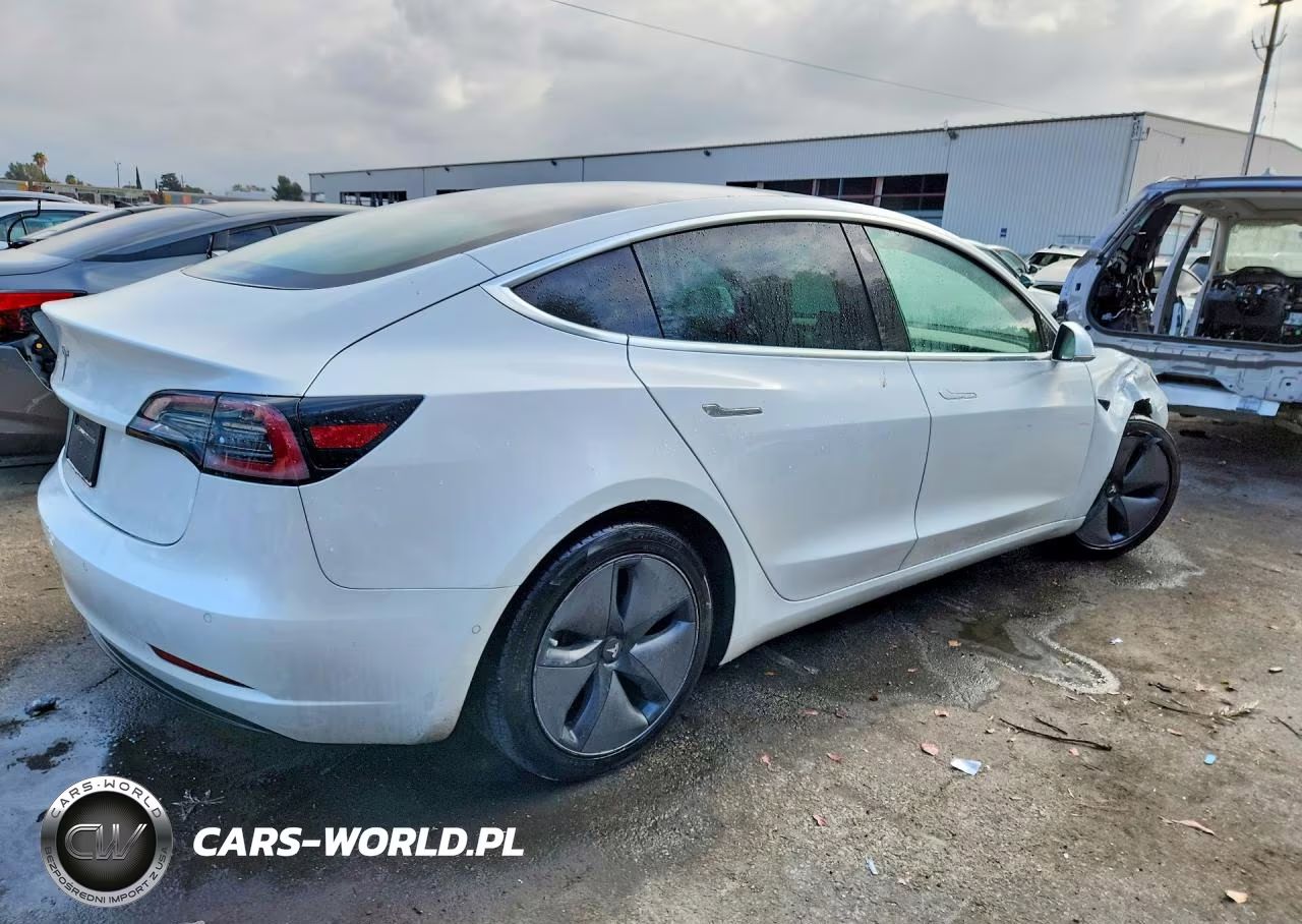 2019 Tesla Model 3 VIN:5YJ3E1EA7KF401491 - 3
